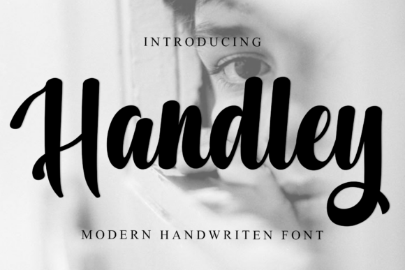 Capturing Holiday Magic: A Designer's Look at Handley