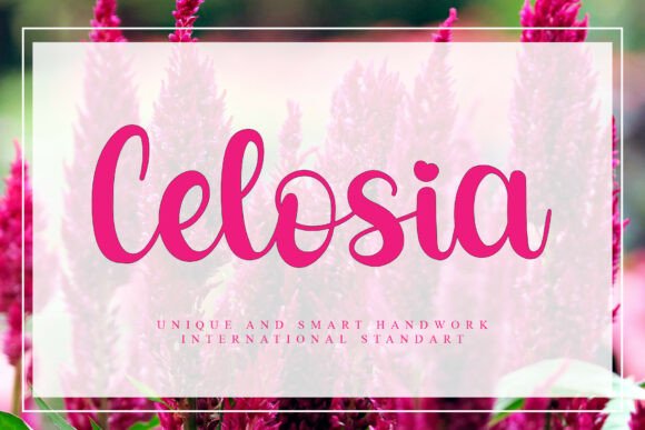 Celosia: A Typeface with a Professional Hand Touch